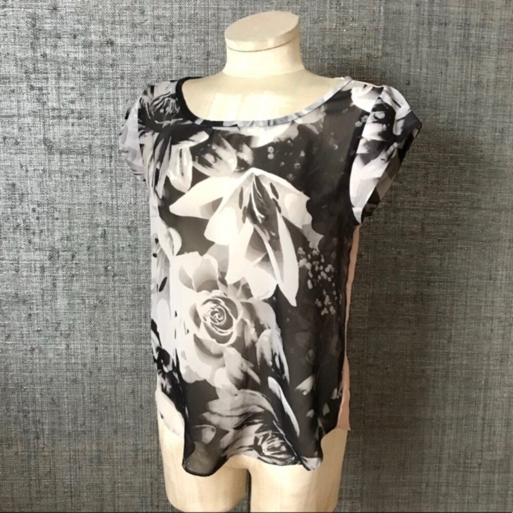 American Eagle Outfitters sheer short sleeve top